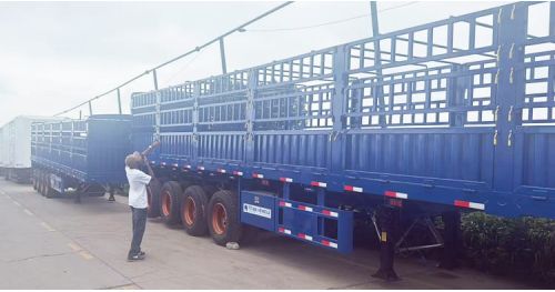 Tanzania Customer Visited Titan and Purchased Fence Cargo Semi Trailer