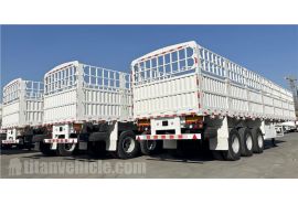 60 Ton Fence Cargo Trailer is ship to Tanzania